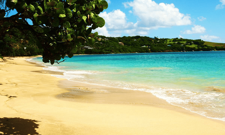 Fullerton Markets leaves New Zealand for St. Vincent